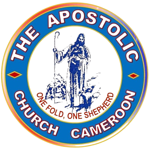 the apostolic seminary kumba